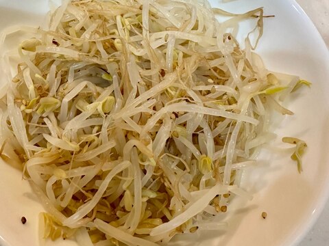 簡単✳もやしナムル